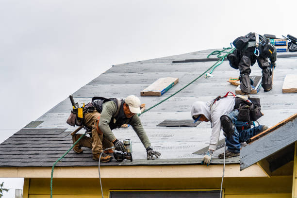 Professional Storm Damage Roof Repair technician working in Caledonia, MI